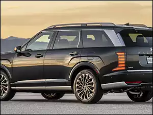 Hyundai Palisade, Czarny