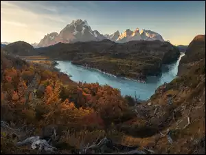 Patagonia, Park Narodowy Torres del Paine, Drzewa, Chile, Jesień, Rzeka, Góry