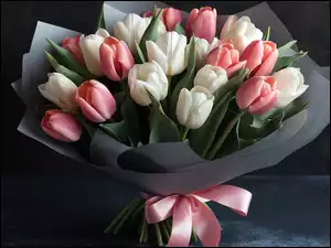 Kokarda, Białe, Różowe, Tulipany