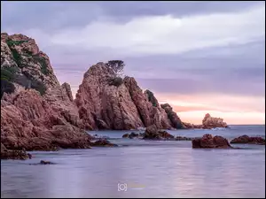 Drzewa, Wschód słońca, Costa Brava, Katalonia, Morze, Skały, Hiszpania, Wybrzeże