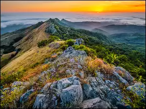 Zachód słońca, Kalifornia, Mgła, Lasy, Roślinność, Park Stanowy Fremont Peak, Góry, Stany Zjednoczone, Skały