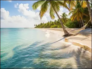Hamak i palmy na morskiej plaży