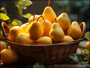 Mokre gruszki w koszyku