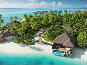 Domki, Tropiki, Plaża, Morze, Palmy