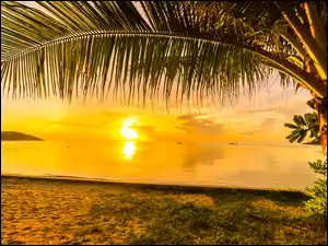 Widok na plamę przy plaży i zachód słońca nad morzem