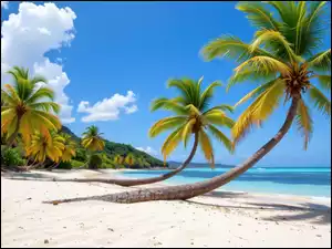Grafika, Plaża, Palmy, Morze
