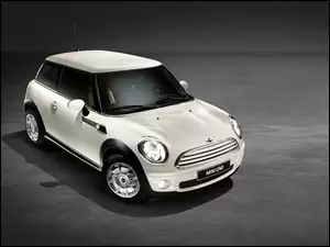 Dach, Mini One, Biały