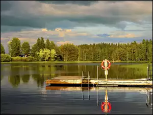 Odbicie, Pomost, Staw, Las
