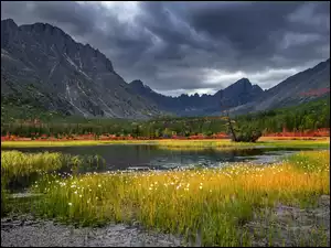 Drzewa, Rosja, Jezioro, Trawa, Kołyma, Jack London Lake, Chmury, Góry