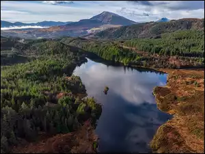 Lasy, Wielka Brytania, Jezioro, Drzewa, Walia, Llyn Bodgynydd, Z lotu ptaka, Góry