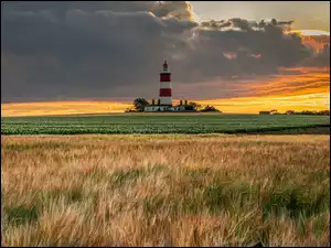 Happisburgh Lighthouse, Pole, Anglia, Latarnia morska, Norfolk, Chmury, Niebo