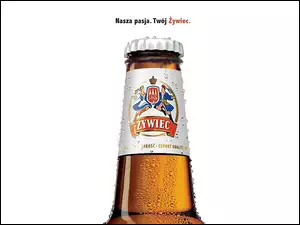 szyjka, Piwo, Piwo Żywiec