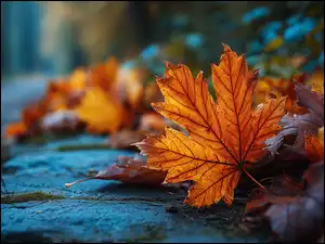 Grafika AI, Jesienny, Liść