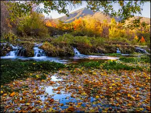 Rzeka, Liście, Góry, Jesień, Drzewa