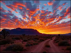 Kolorowe, Niebo, Rośliny, Zachód słońca, Droga, Góry, Chmury