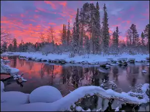 Półwysep Kolski, Rosja, Rzeka, Zachód słońca, Zima, Drzewa