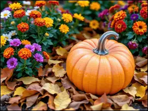 Grafika AI, Dynia, Kwiaty