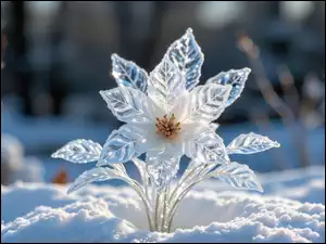 Gałązki, Oszroniony, Kwiat, Śnieg