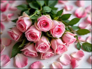 Płatki, Wiązanka, Różowe, Róże