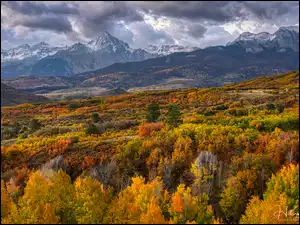 Jesień, San Juan Mountains, Stany Zjednoczone, Góry, Kolorado, Drzewa, Kolorowe