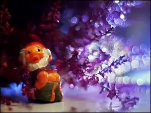 Bokeh, Wrzos, Krasnoludek