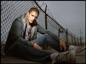Wentworth Miller, Więzienie