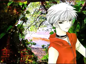 Fruits Basket, symbol, kobieta, drzewa