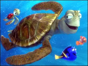 Gdzie Jest Nemo, żółw, rybki