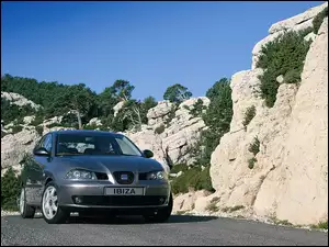Nowy Seat Ibiza