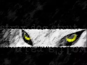 oczy, Wolfs Rain, żółte
