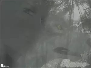 Wolfs Rain, twarz, las, wilk