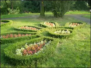 Park, Wzorek