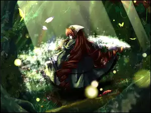 kobieta, Rozen Maiden, las