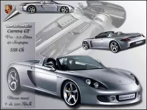 Porsche Carrera GT, Osiągi