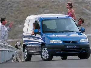 Pies, Citroen Berlingo, Rodzina