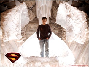 Superman Returns, jeans, kryształy, mężczyzna