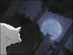 wściekły, Wolfs Rain, wilk, księżyc