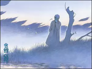 krajobraz, Mushi Shi, osoba