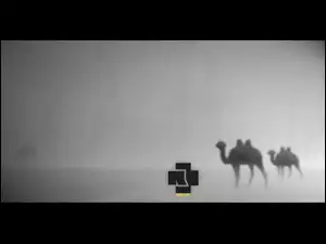 Rammstein, Wielbłąd