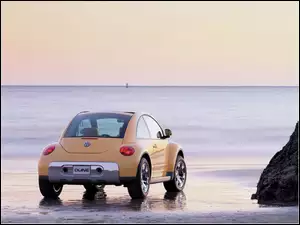 New Beetle, Plarza