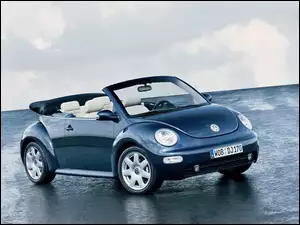 Cabrio, New Beetle, Biała Skóra