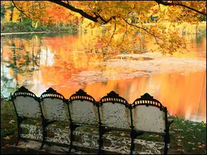 Ławka, Jesień, Jezioro