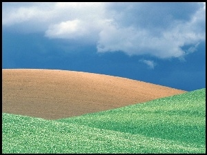 łąka