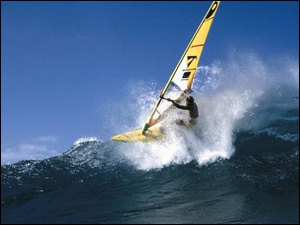 Windsurfing, deska