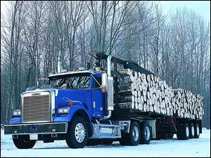 las, Sterling Truck, Drewno