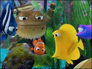Gdzie Jest Nemo, Akwarium