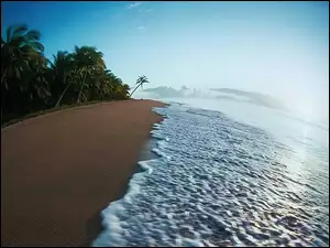 Palmy, Fale, Plaża