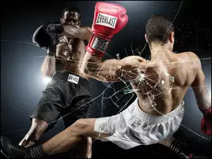 Everlast, Szyba, Boks, Rozbita