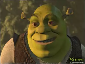 Shrek 1, ogr