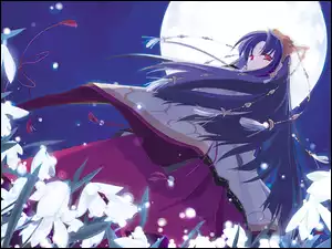 dziewczyna, Tsukuyomi Moon Phase, przebiśniegi, księżyc